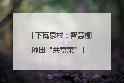 下瓦泉村：智慧棚种出“共富菜”