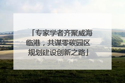 专家学者齐聚威海临港，共谋零碳园区规划建设创新之路