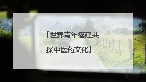 世界青年福建共探中医药文化