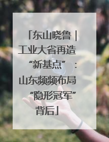 东山晓鲁｜工业大省再造“新基点”：山东频频布局“隐形冠军”背后