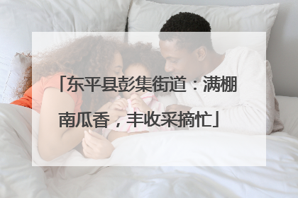 东平县彭集街道：满棚南瓜香，丰收采摘忙