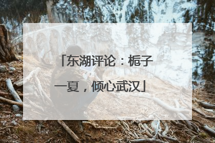 东湖评论：栀子一夏，倾心武汉