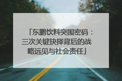 东鹏饮料突围密码：三次关键抉择背后的战略远见与社会责任