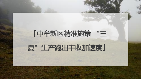 中牟新区精准施策 “三夏”生产跑出丰收加速度