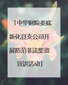 中华财险娄底新化县支公司开展防范非法集资宣讲活动