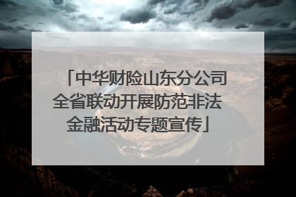 中华财险山东分公司全省联动开展防范非法金融活动专题宣传