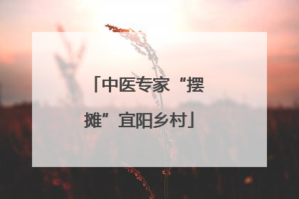 中医专家“摆摊”宜阳乡村