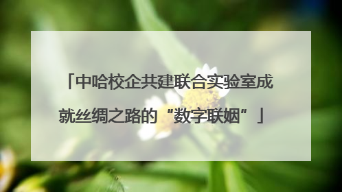 中哈校企共建联合实验室成就丝绸之路的“数字联姻”