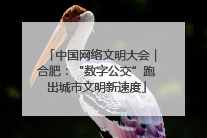 中国网络文明大会｜合肥：“数字公交”跑出城市文明新速度