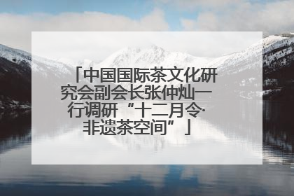中国国际茶文化研究会副会长张仲灿一行调研“十二月令·非遗茶空间”