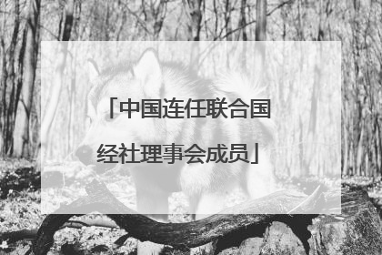 中国连任联合国经社理事会成员