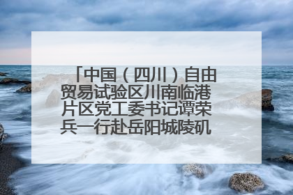 中国（四川）自由贸易试验区川南临港片区党工委书记谭荣兵一行赴岳阳城陵矶综保区考察