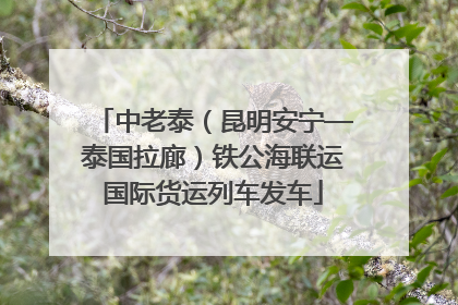 中老泰（昆明安宁—泰国拉廊）铁公海联运国际货运列车发车