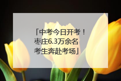 中考今日开考！枣庄6.3万余名考生奔赴考场