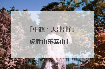 中超：天津津门虎胜山东泰山