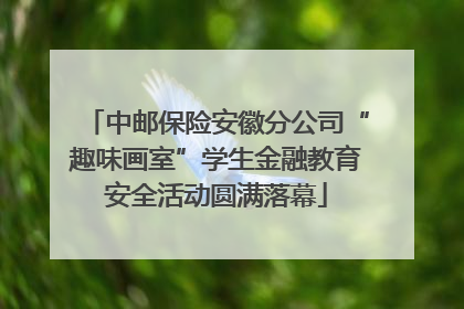中邮保险安徽分公司“趣味画室”学生金融教育安全活动圆满落幕