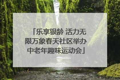 乐享银龄 活力无限万象春天社区举办中老年趣味运动会