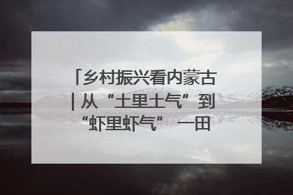 乡村振兴看内蒙古｜从“土里土气”到“虾里虾气” 一田双收模式火出圈