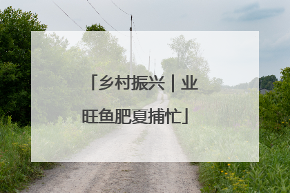 乡村振兴｜业旺鱼肥夏捕忙