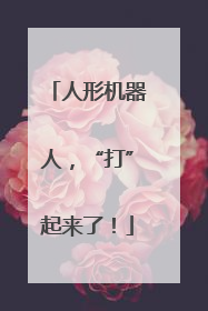 人形机器人，“打”起来了！