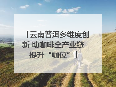 云南普洱多维度创新 助咖啡全产业链提升“咖位”