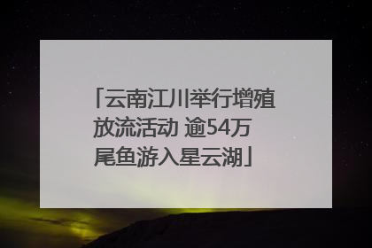 云南江川举行增殖放流活动 逾54万尾鱼游入星云湖