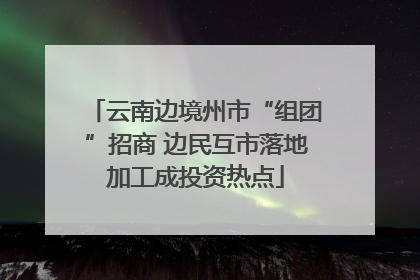 云南边境州市“组团”招商 边民互市落地加工成投资热点