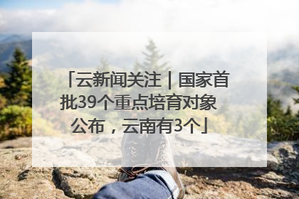 云新闻关注｜国家首批39个重点培育对象公布，云南有3个