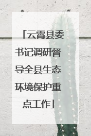 云霄县委书记调研督导全县生态环境保护重点工作