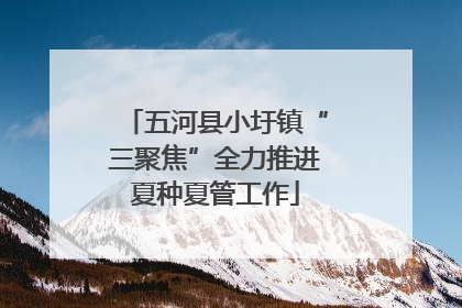 五河县小圩镇“三聚焦”全力推进夏种夏管工作