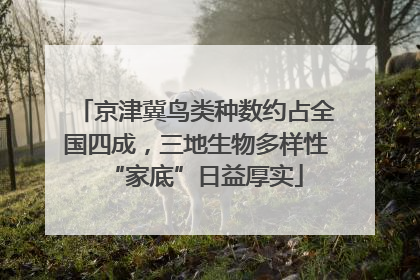 京津冀鸟类种数约占全国四成，三地生物多样性“家底”日益厚实