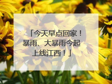 今天早点回家！暴雨、大暴雨今起上线江西！