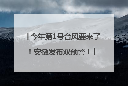 今年第1号台风要来了！安徽发布双预警！