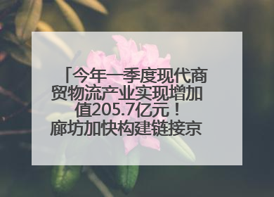 今年一季度现代商贸物流产业实现增加值205.7亿元！廊坊加快构建链接京津冀面向全世界的物流通道