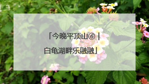 今晚平顶山⑥｜白龟湖畔乐融融