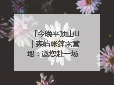 今晚平顶山⑫|森屿帐篷露营地:邀您赴一场山水之约