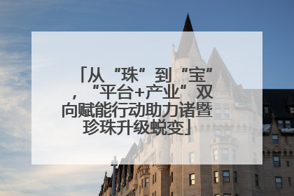 从“珠”到“宝”，“平台+产业”双向赋能行动助力诸暨珍珠升级蜕变