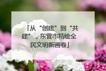 从“创建”到“共建”，东营市精绘全民文明新画卷