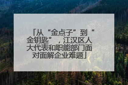 从“金点子”到“金钥匙”，江汉区人大代表和职能部门面对面解企业难题