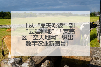 从“靠天吃饭”到“云端种地”！莱芜区“空天地网”织出数字农业新图景
