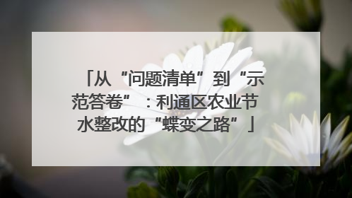 从“问题清单”到“示范答卷”：利通区农业节水整改的“蝶变之路”