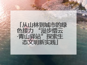 从山林到城市的绿色接力 “漫步缙云·青山驿站”探索生态文明新实践