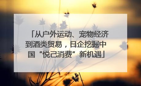 从户外运动、宠物经济到酒类贸易，日企挖掘中国“悦己消费”新机遇