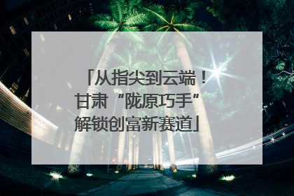 从指尖到云端！甘肃“陇原巧手”解锁创富新赛道