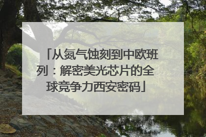 从氮气蚀刻到中欧班列：解密美光芯片的全球竞争力西安密码