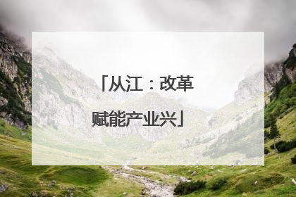 从江：改革赋能产业兴