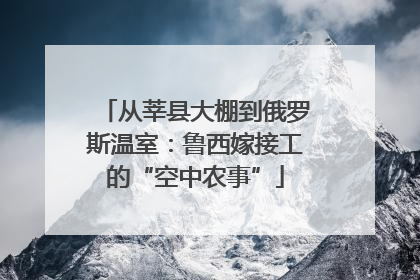 从莘县大棚到俄罗斯温室：鲁西嫁接工的“空中农事”