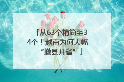从63个精简至34个！越南为何大幅“撤县并省”
