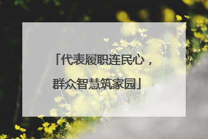 代表履职连民心，群众智慧筑家园