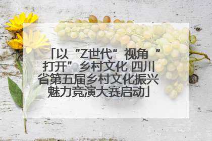 以“Z世代”视角“打开”乡村文化 四川省第五届乡村文化振兴魅力竞演大赛启动